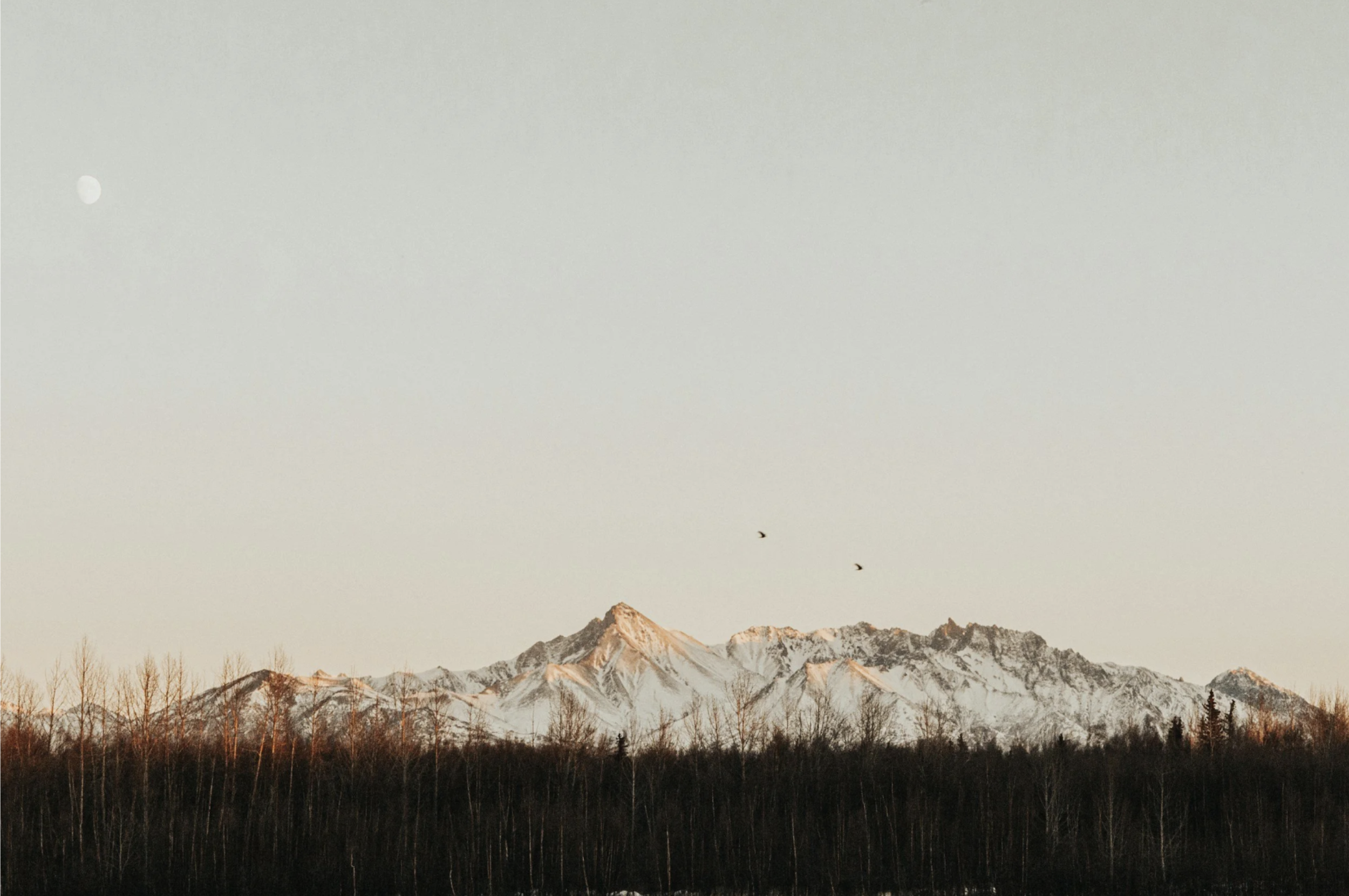 Steadying the Heart: Refuge through the Four Sublime States