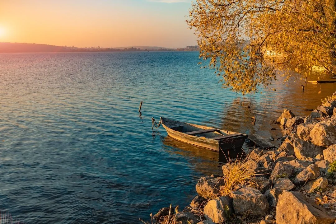 Letting Go, Coming Home