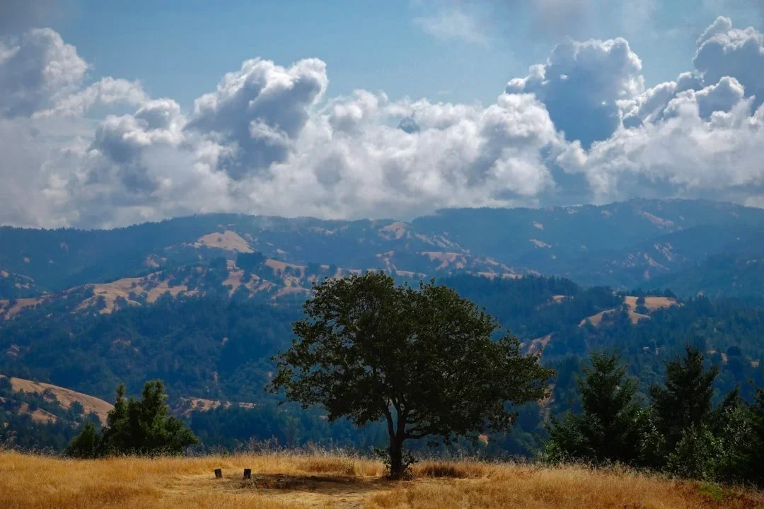Fall Insight Meditation Retreat at Spirit Rock
