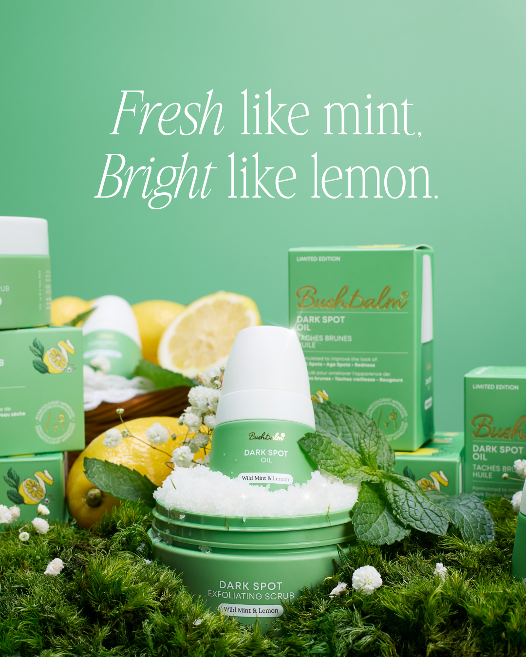 fresh like mint, bright like lemon.png
