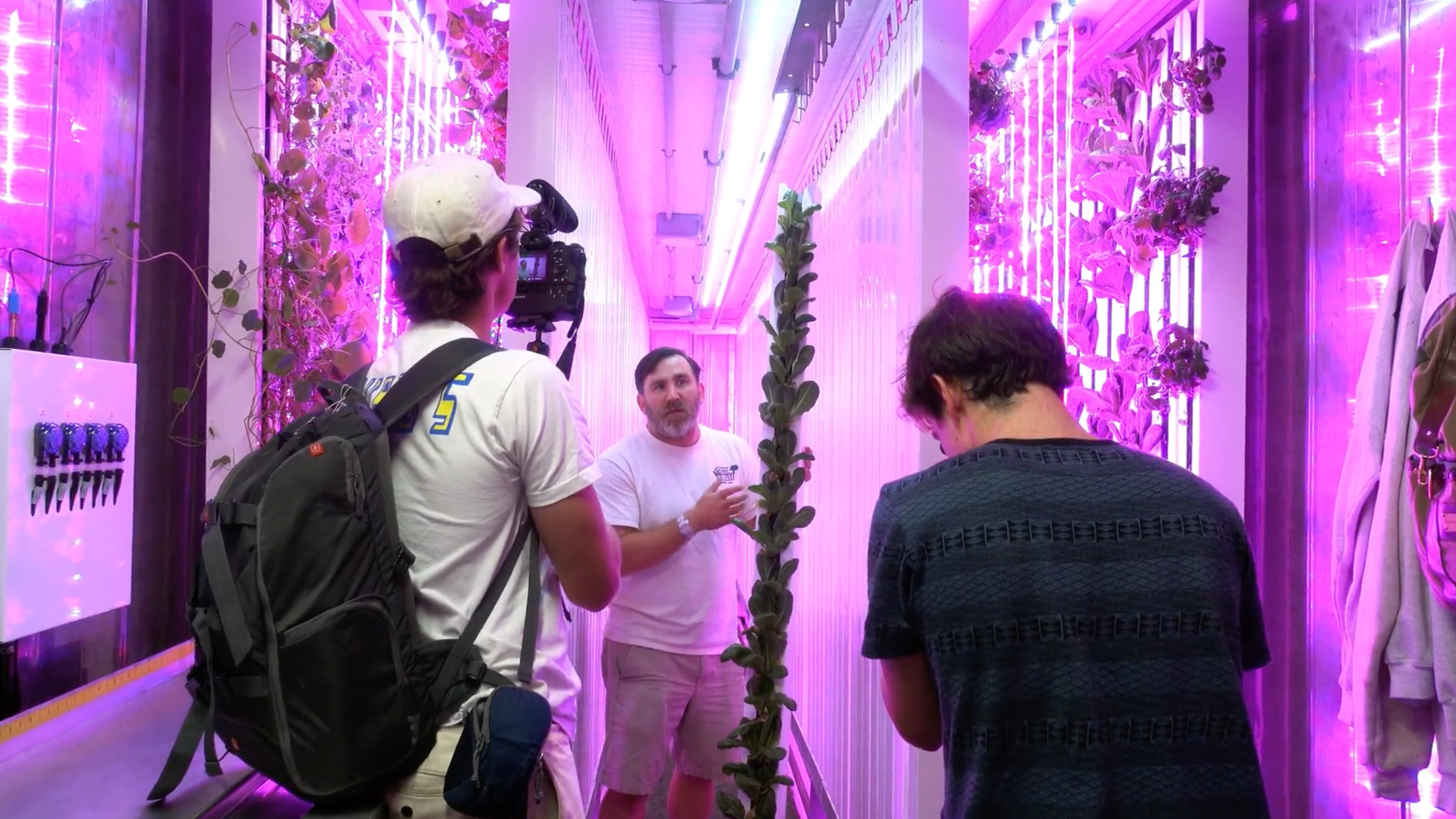 The Future of Cities