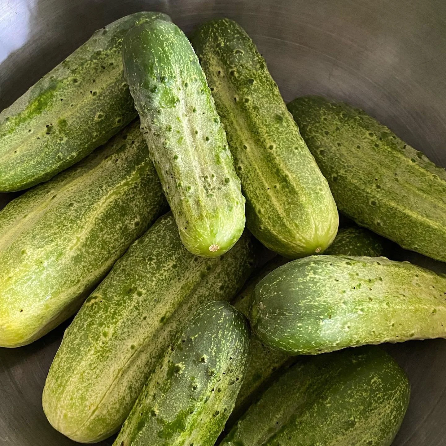 Cucumbers