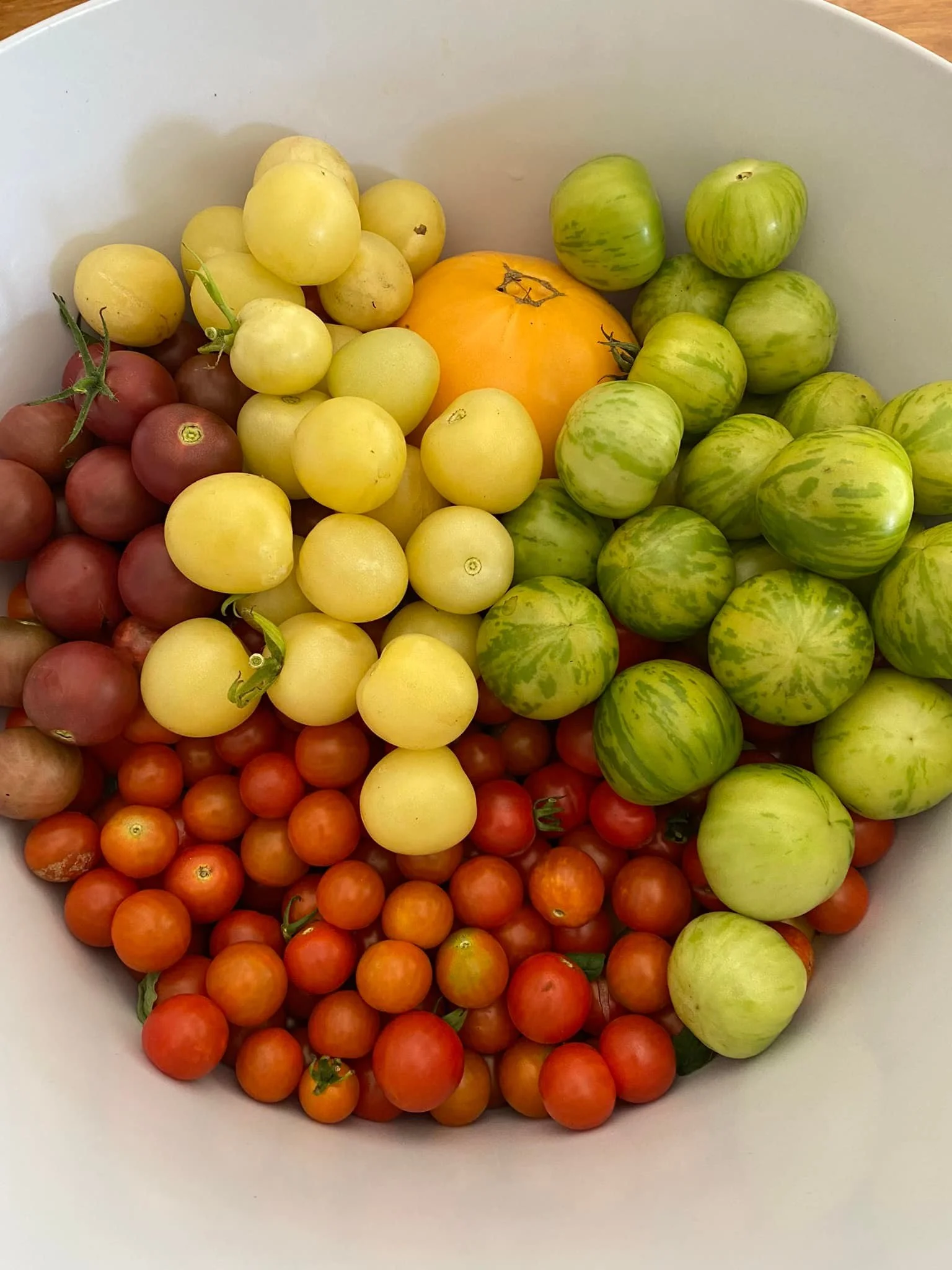 tomatoes colors.jpg