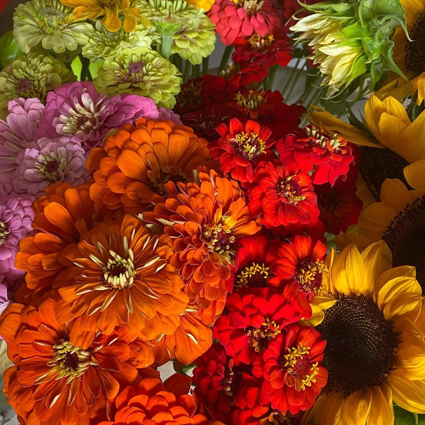 mixed flowers6.jpg