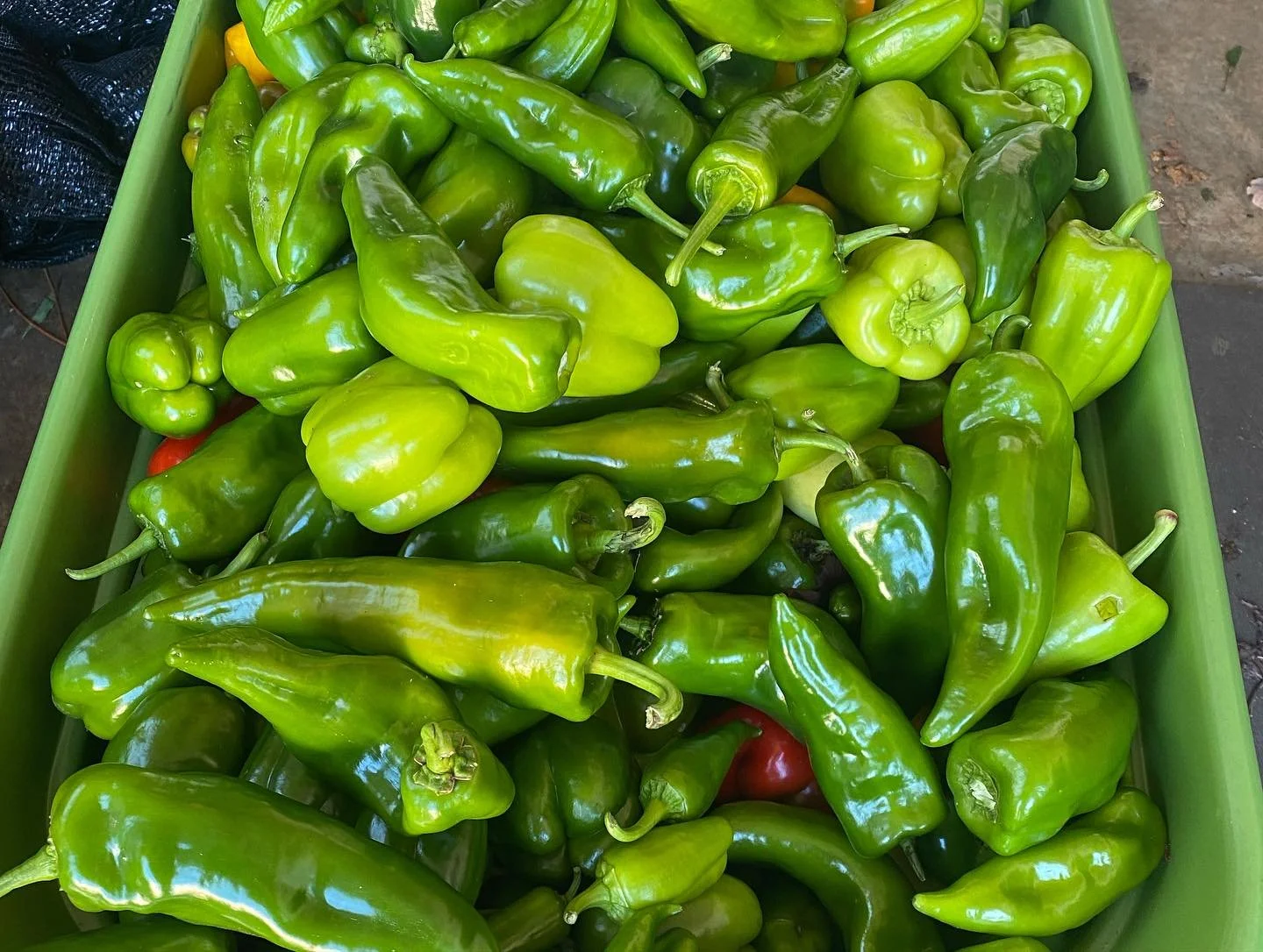 peppers4.jpg
