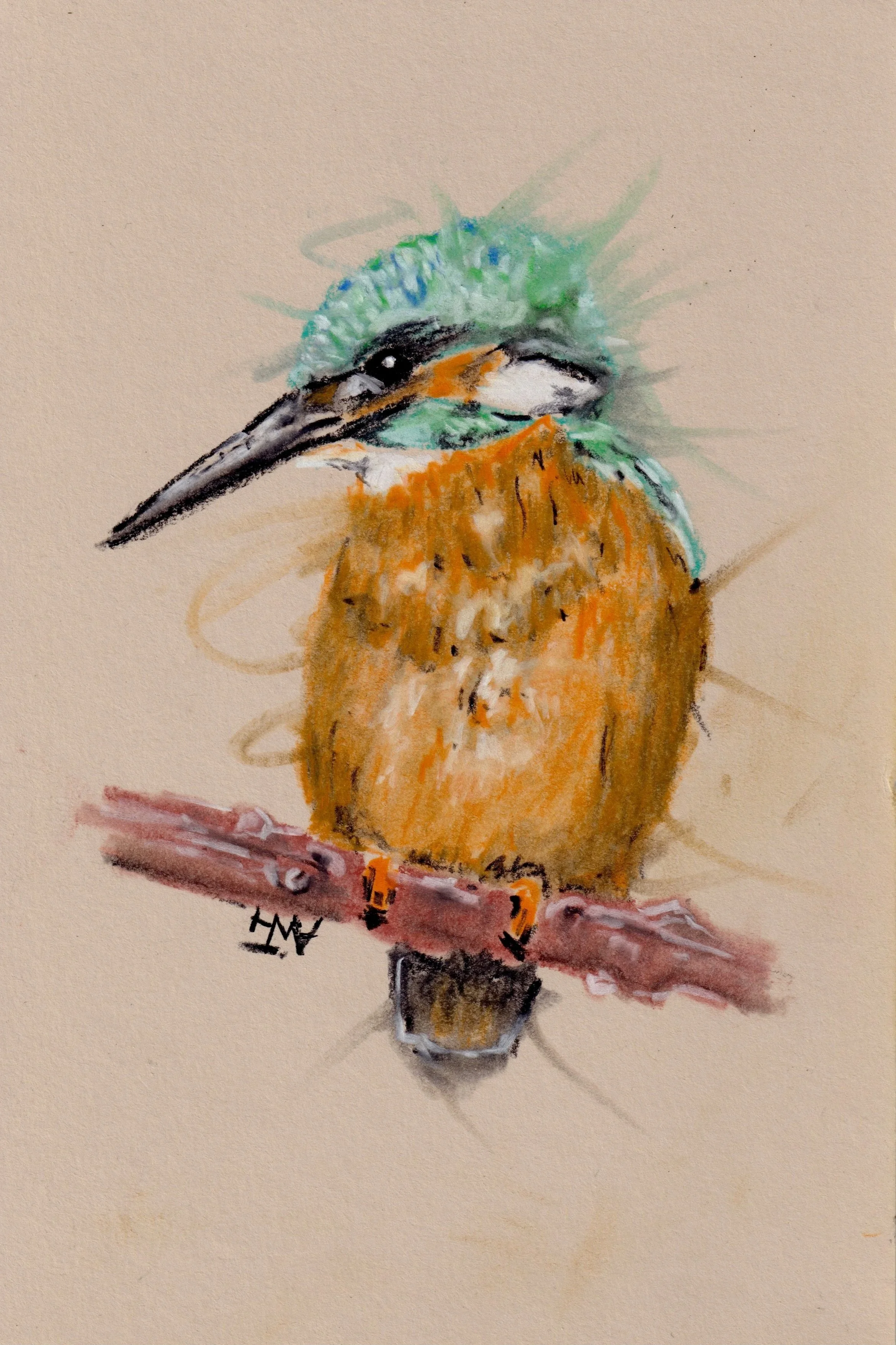 Kingfisher.jpg