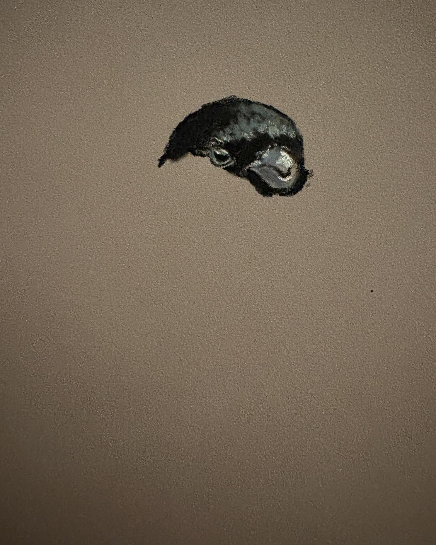 Can&rsquo;t beat a bit of bully&hellip; (if you get the reference then you&rsquo;re also old&hellip;)

Always loved this old photo of mine of a male Bullfinch - the way its perch matched the colour of its chest, and just that grumpy finch look. Didn&