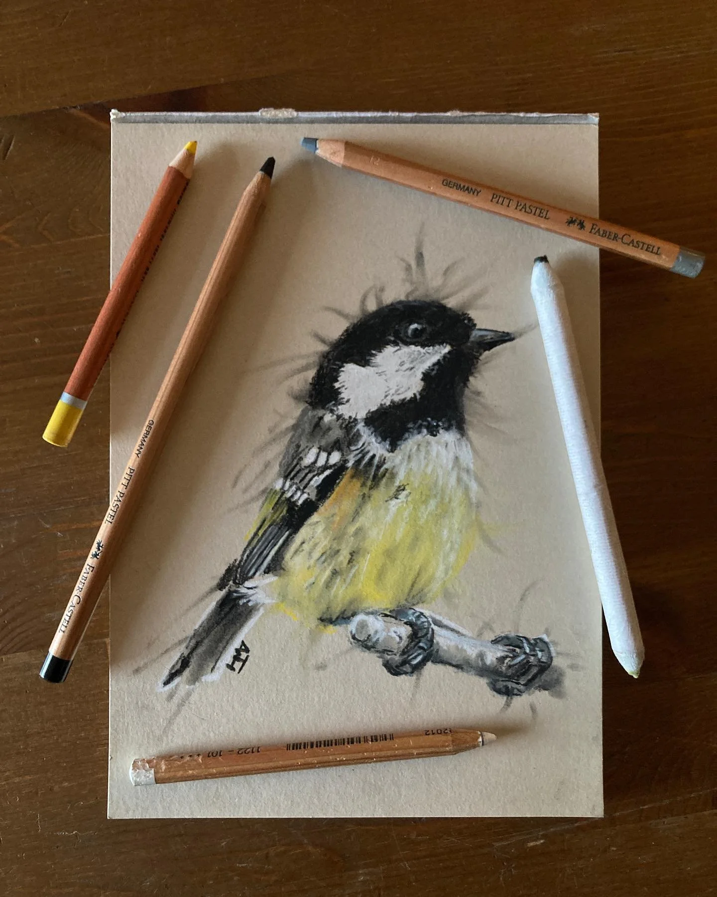 The Great Tit might be big and bold; the Blue Tit colourful and chaotic; but the Coal Tit, furtively sneaking into the feeders, grabbing  that one seed, darting off into the waiting hedges. Back, again and again. On edge. Small but strong. 

I love a