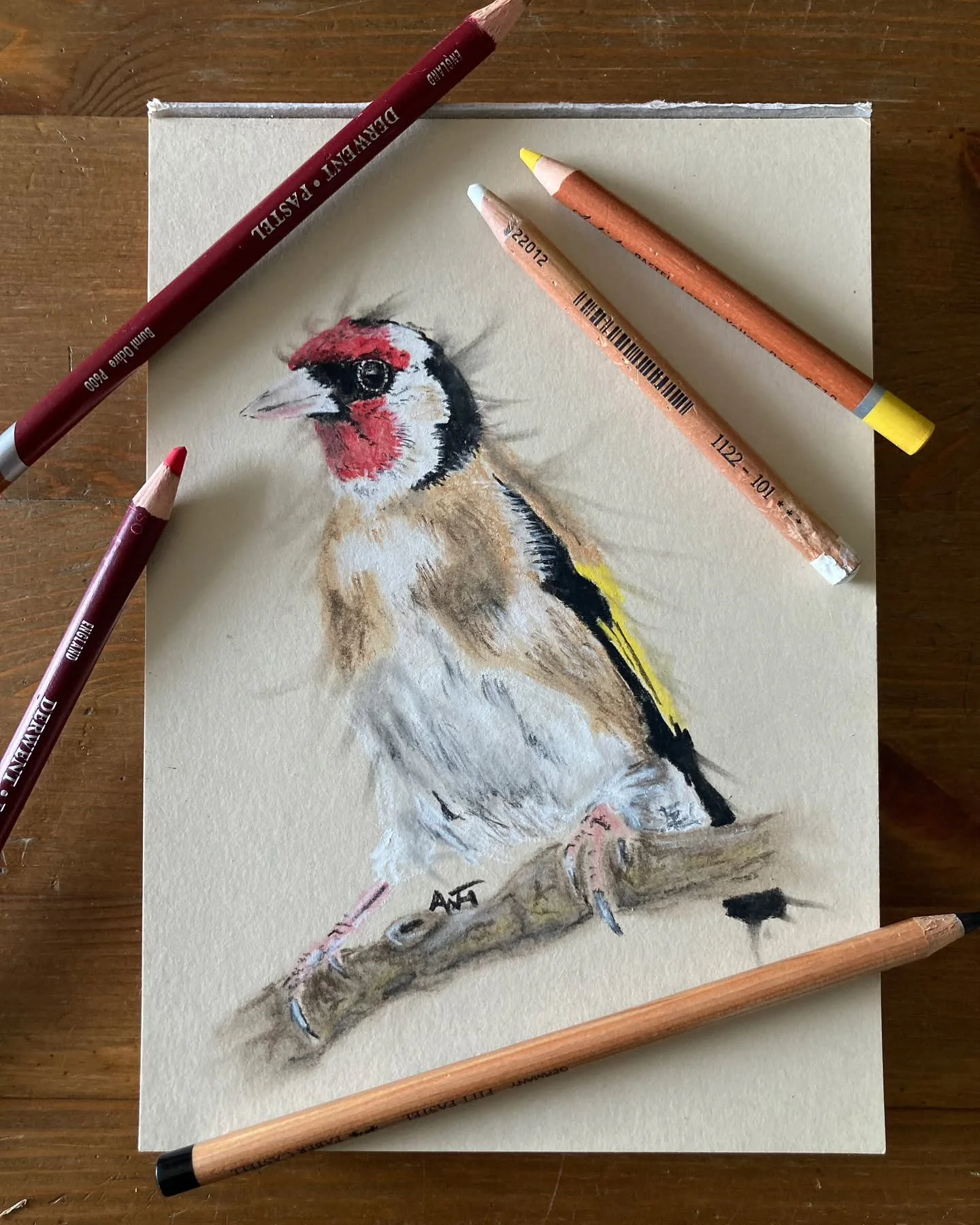 Woken by the cats at 6.30 (they let me sleep in), with no wind and the sun vaguely out it was a lovely way to start the day, sitting sketching a Goldfinch. 

The Finches will make a guest appearance in the Little Brown Bird Project. I think I can jus