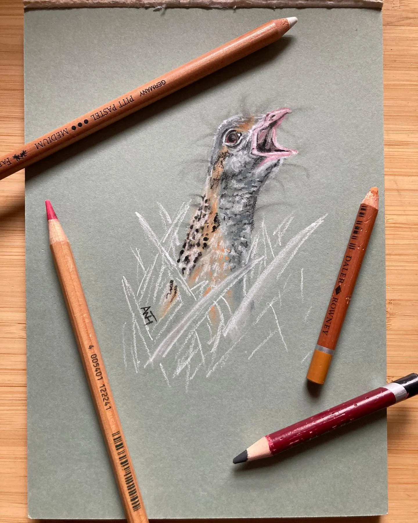 The onomatopoeiacly binomialed Crex crex, or Corn Crake (apparently were now supposed to separate out Corncrake&hellip;). Little bigger in size than a blackbird, I&rsquo;m therefore claiming this for the Little Brown Bird Project (because I&rsquo;ve 