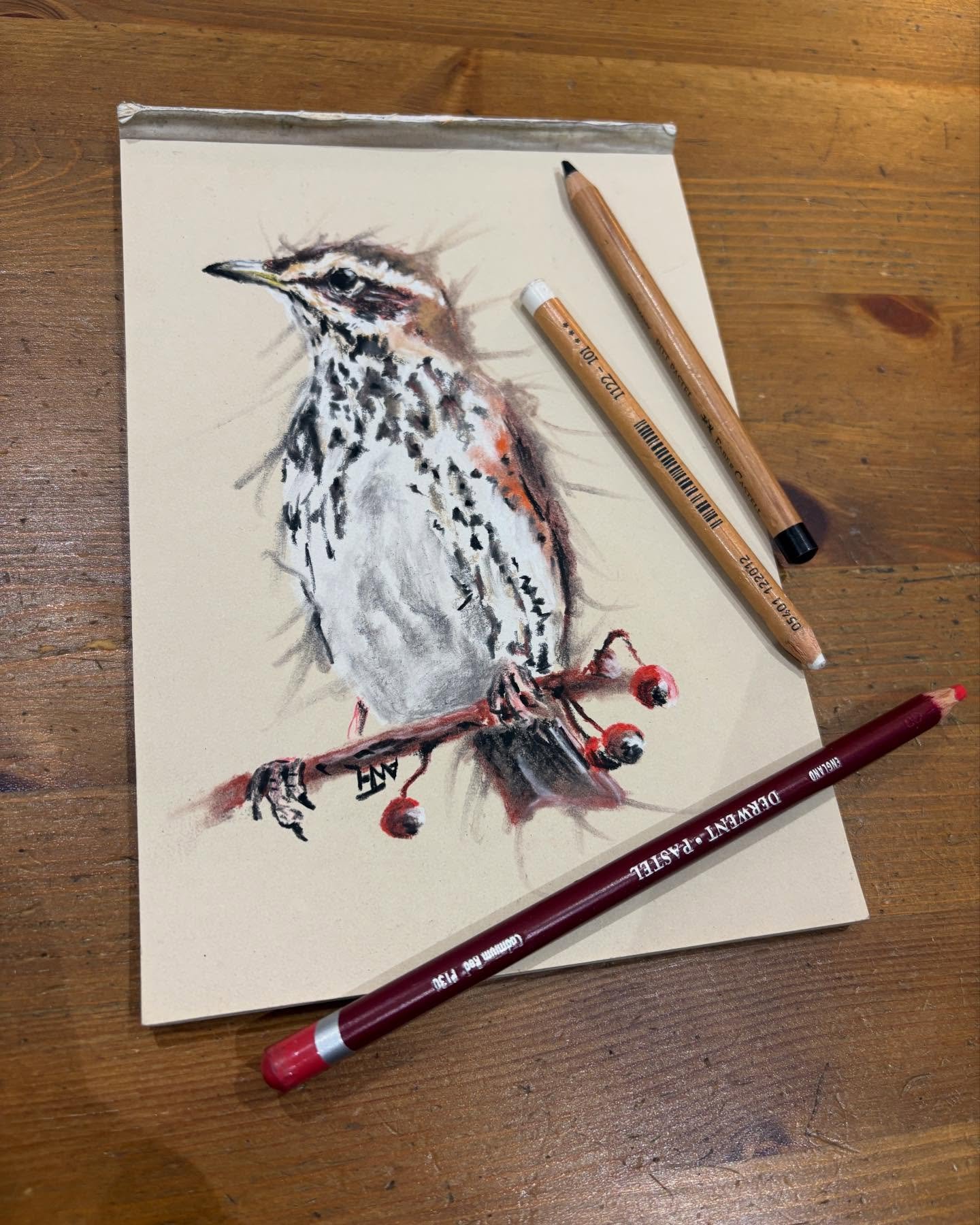 Late night Redwing. Love seeing these wee thrushes over winter, often hanging around with the similarly wintry thrush migrants, the Fieldfare. 

Around 13 pairs hang around further north all year, but they are supplemented by an influx of 700,000 as 