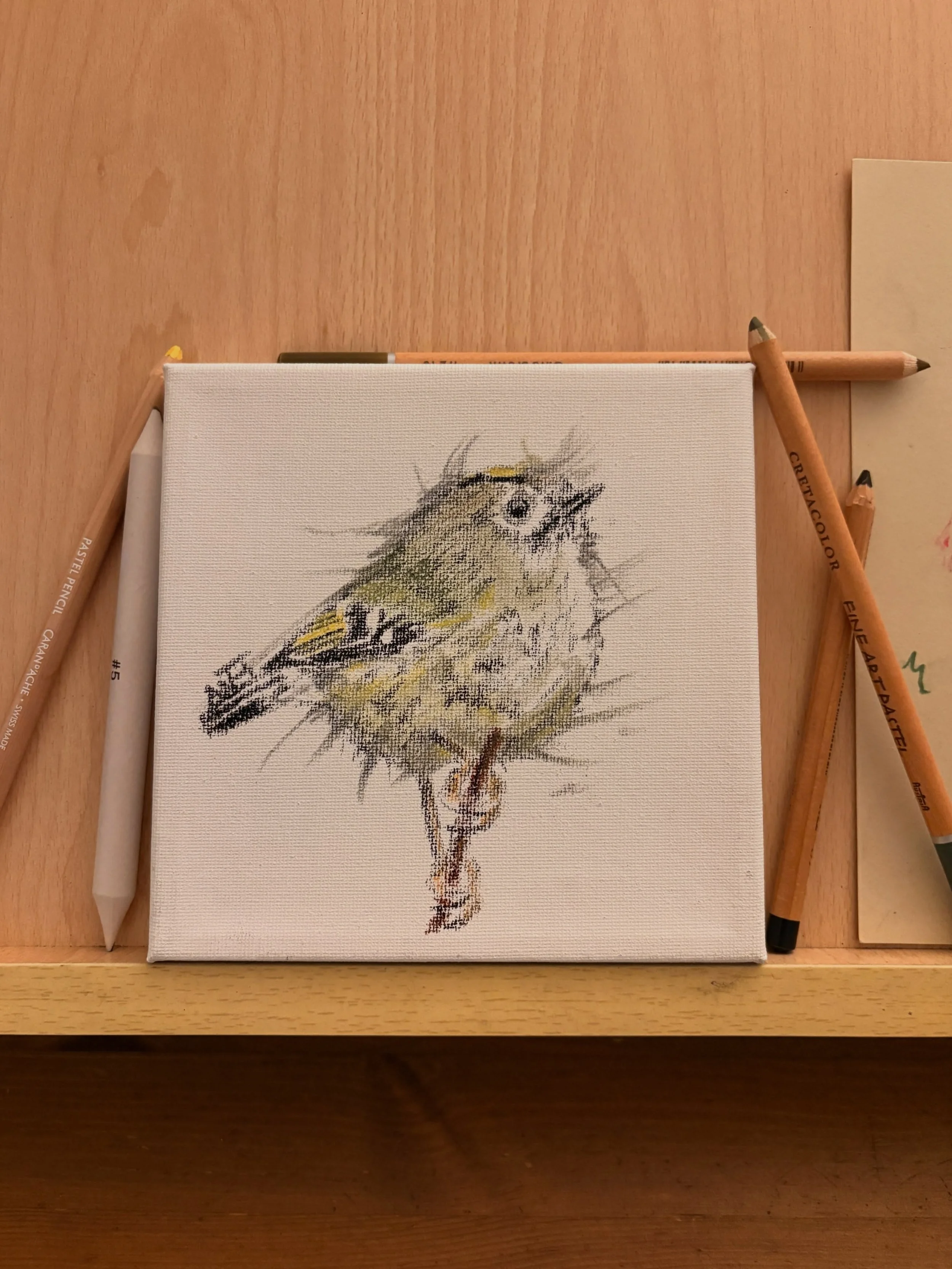 Ultra super quick (10 minutes max) sketch trying something different after I bought a couple of teeny 15x15cm canvases on my way home tonight. Most certainly not intended for pastels, but I kinda like the texture. Quickly realised I had to approach i