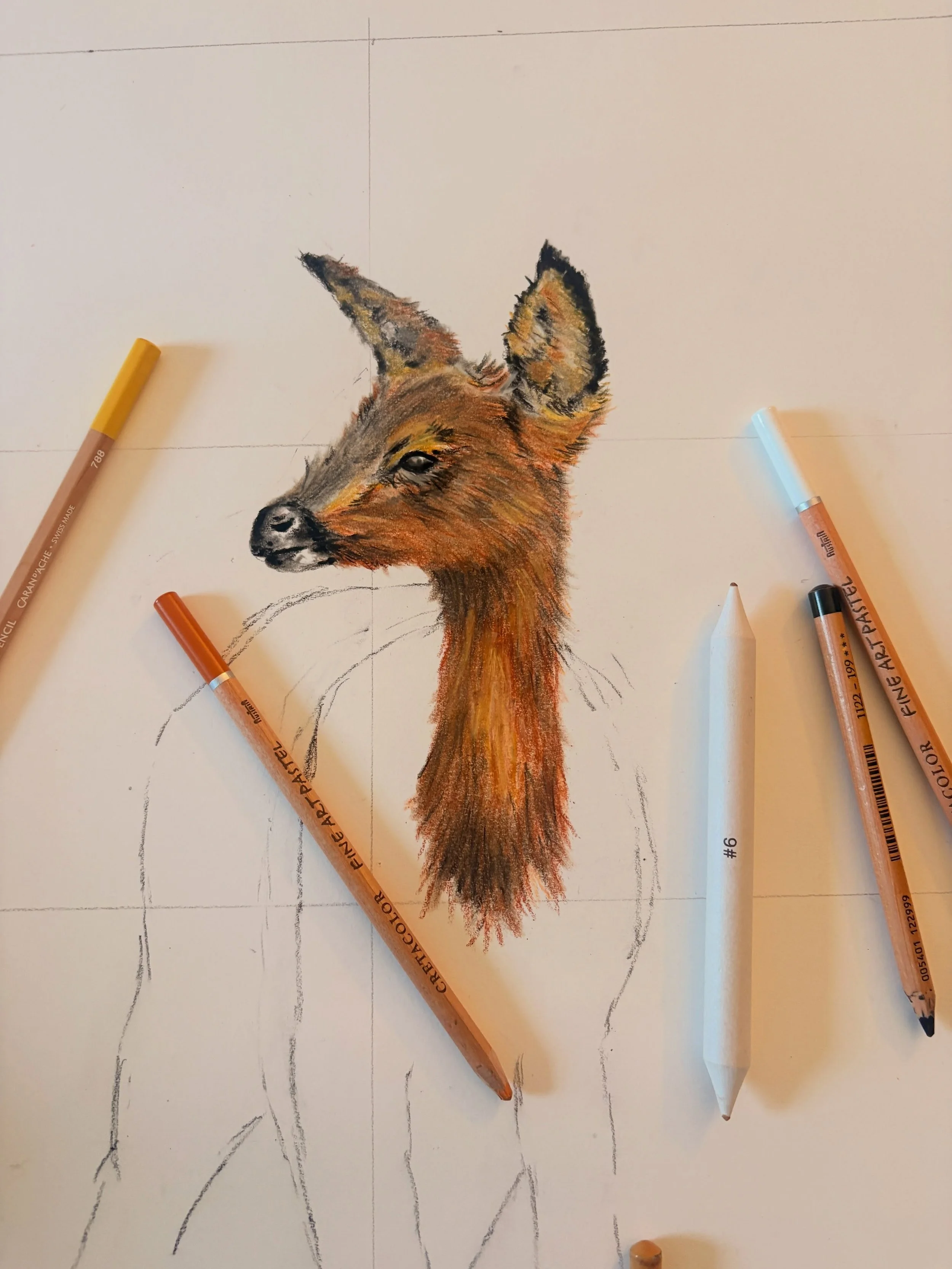 One of the bigger pieces I&rsquo;m working on for @openstudiosstirlingshire - will see how much I get done tonight!
#wildlifeart #pastelart #wildlifeartist #smallholdinglife #roedeer