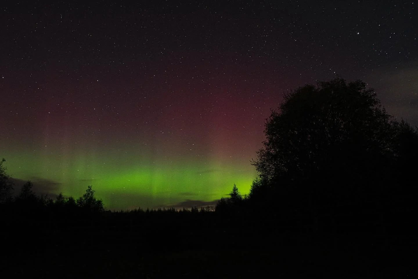 Late night wonders. Which wins? The Aurora or the Badger?

Checking the time stamps I was photographing the Aurora 50 yards away from the trail cam at the exact time it picked up the Badger.

#nightsky #badger #brocktober #scotland #fife

@scottishba
