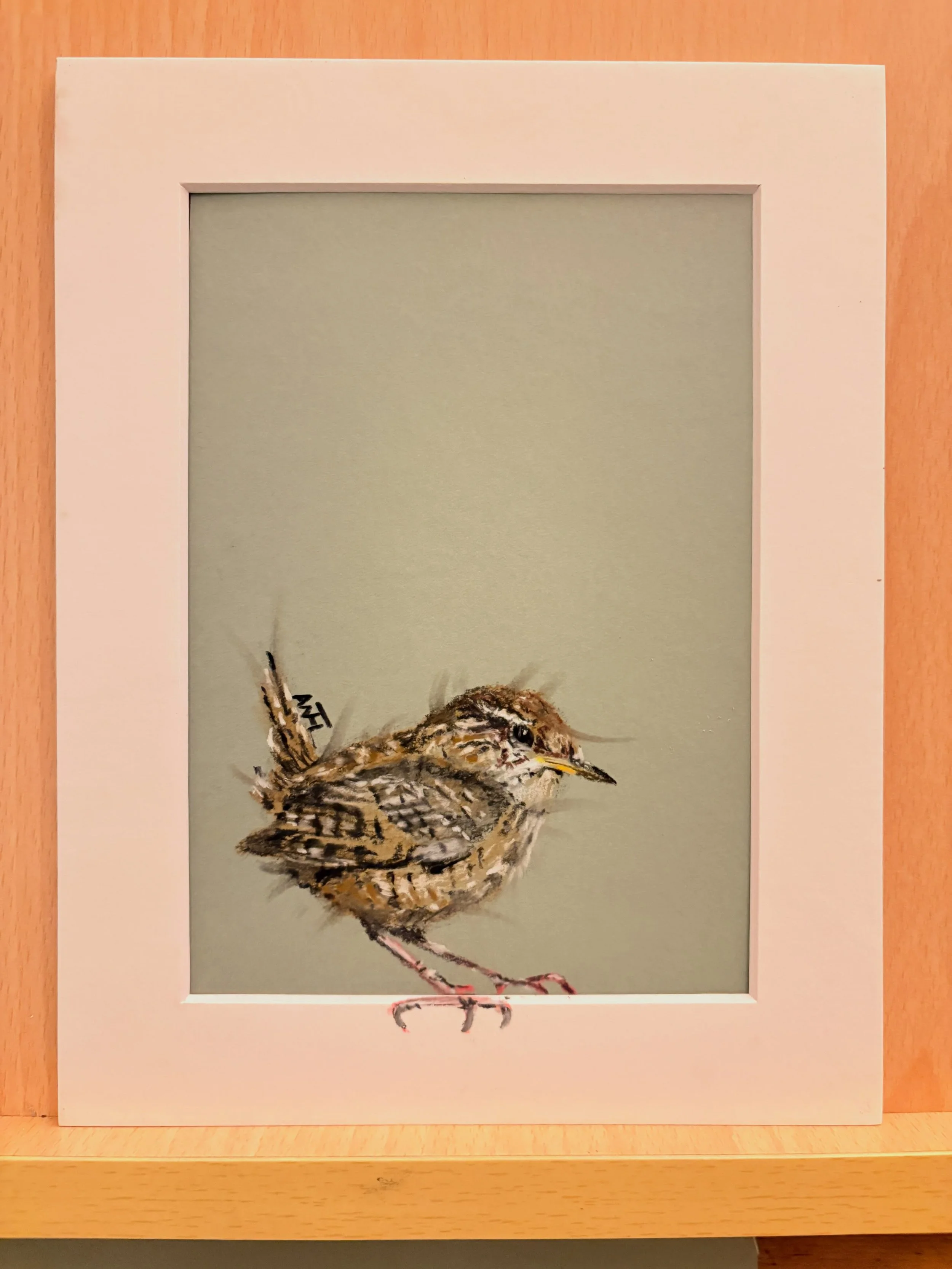 Playing with an idea&hellip;. Uncage the birds!

#birdartist #pastelpemcil #drawingformindfulness #wren #wildlifeartist