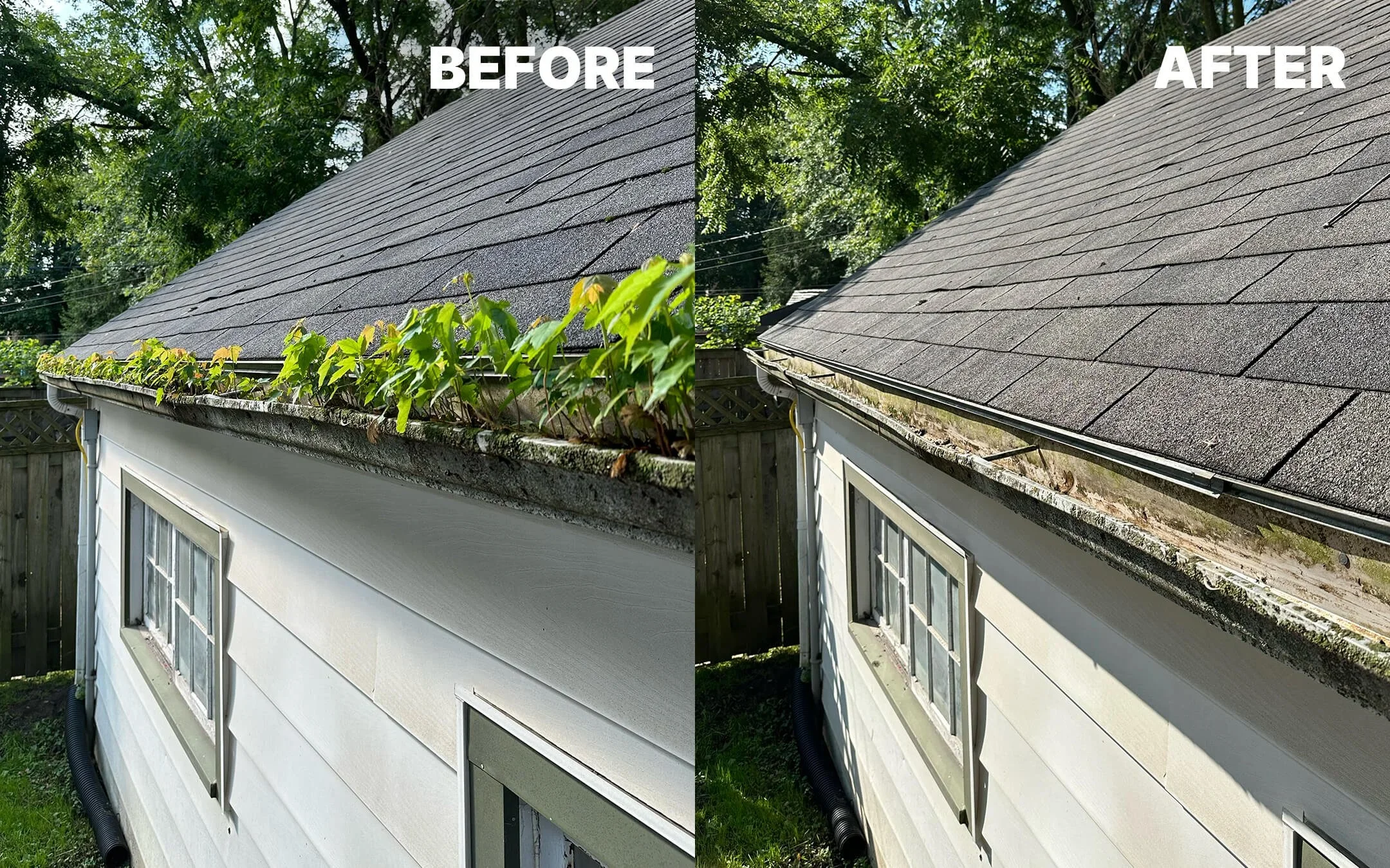 Gutter Scoop & Flush
