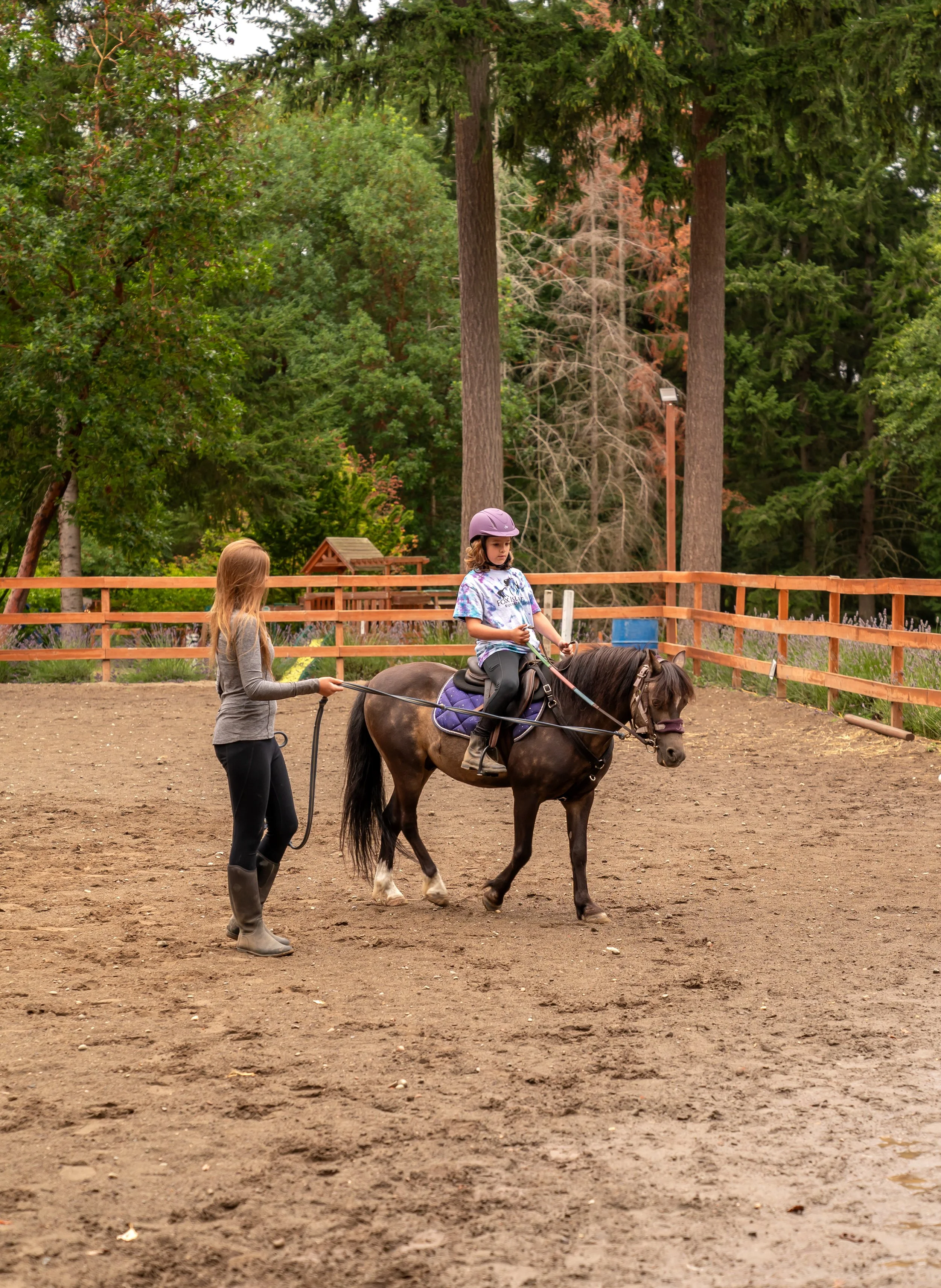 A young girl wearing a purple helmet rides a small horse in an outdoor riding arena, with an instructor guiding her.