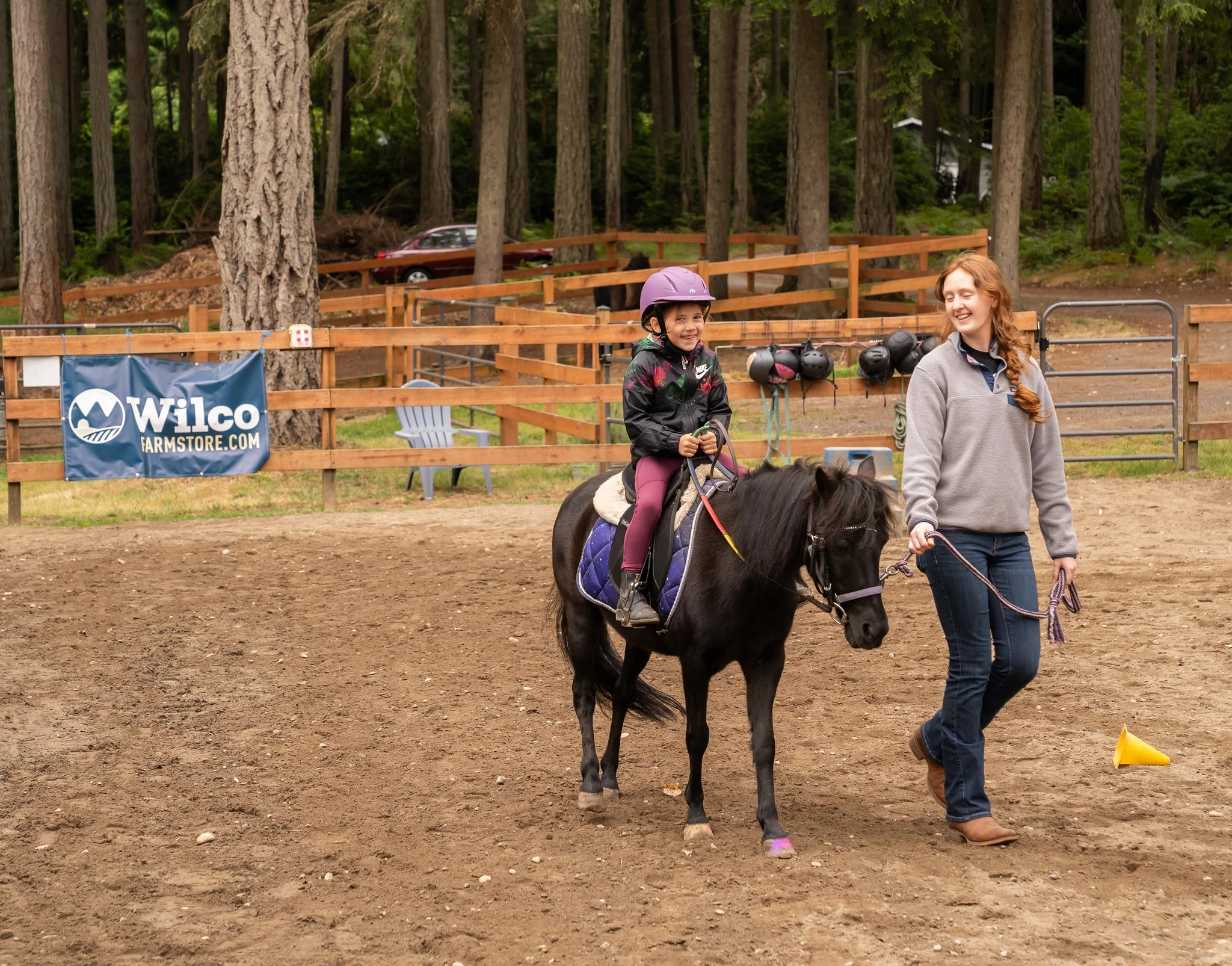 Pony Experience