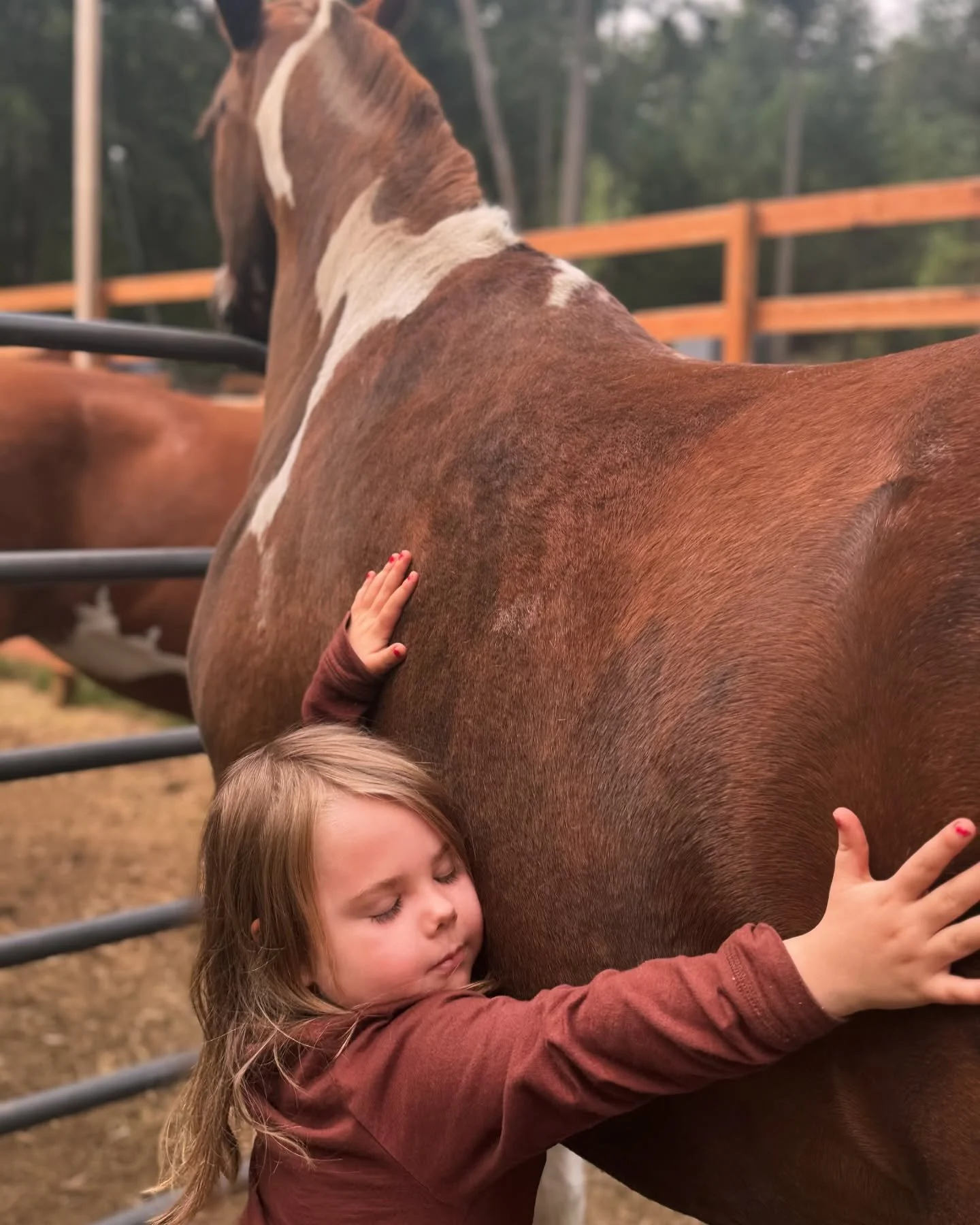 A young girl with long blonde hair hugging a brown and white horse, with her eyes closed.