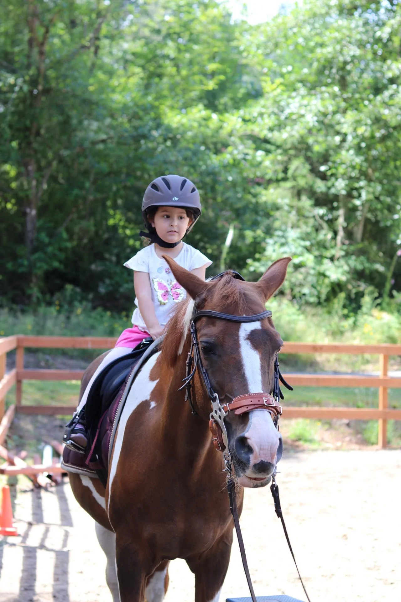 A young girl wearing a helmet riding a brown and white horse in an outdoor arena with green trees in the background.