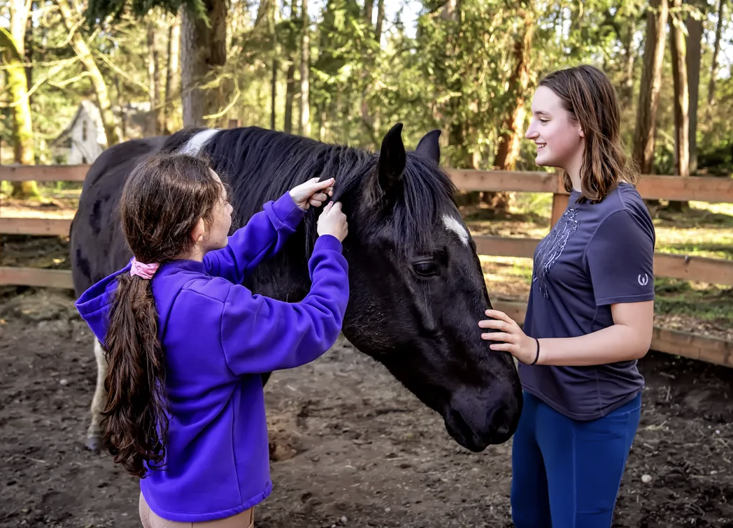 Two young girls pet and interact with a black horse in a wooded outdoor area, with a wooden fence in the background.