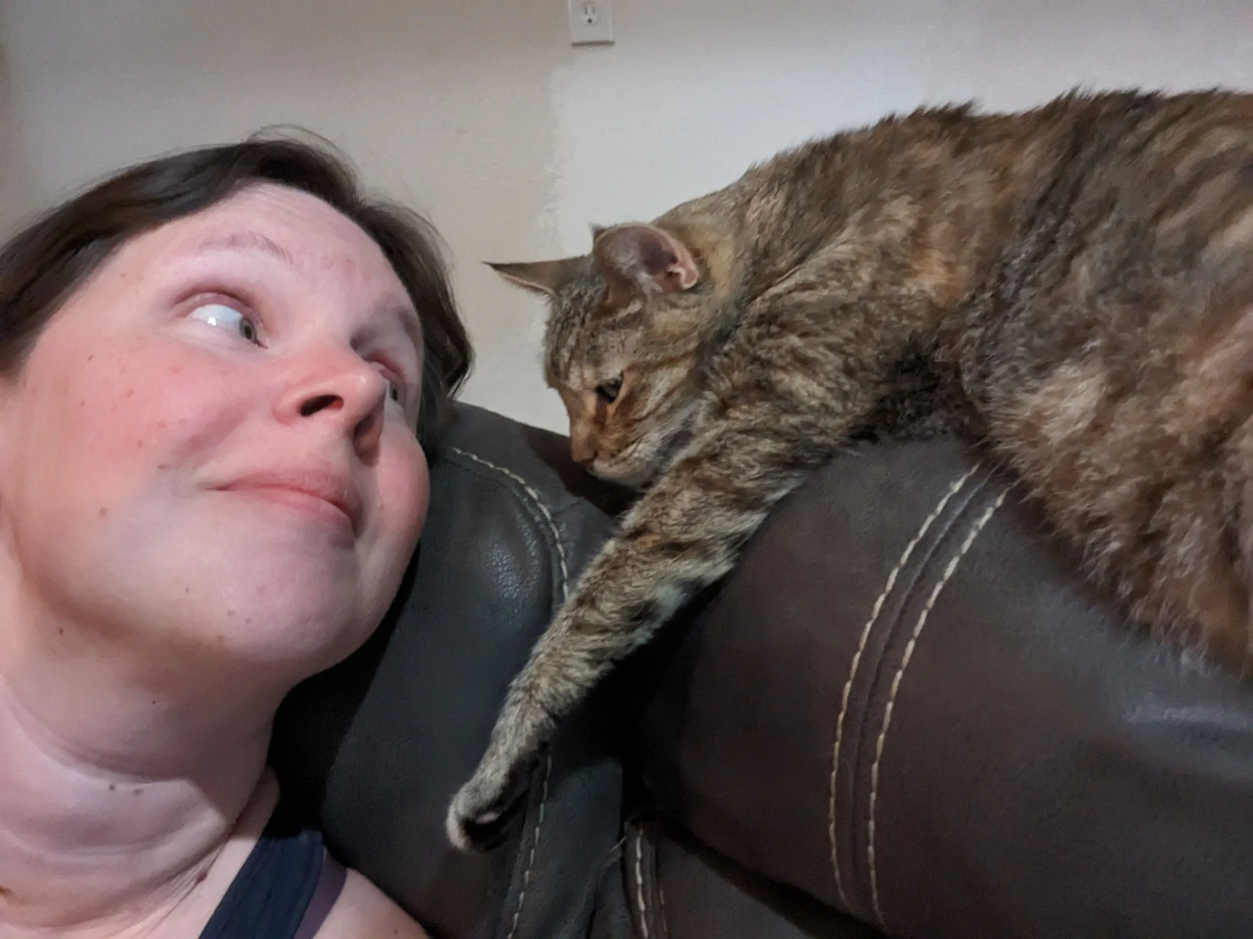 How I Started Cat Training