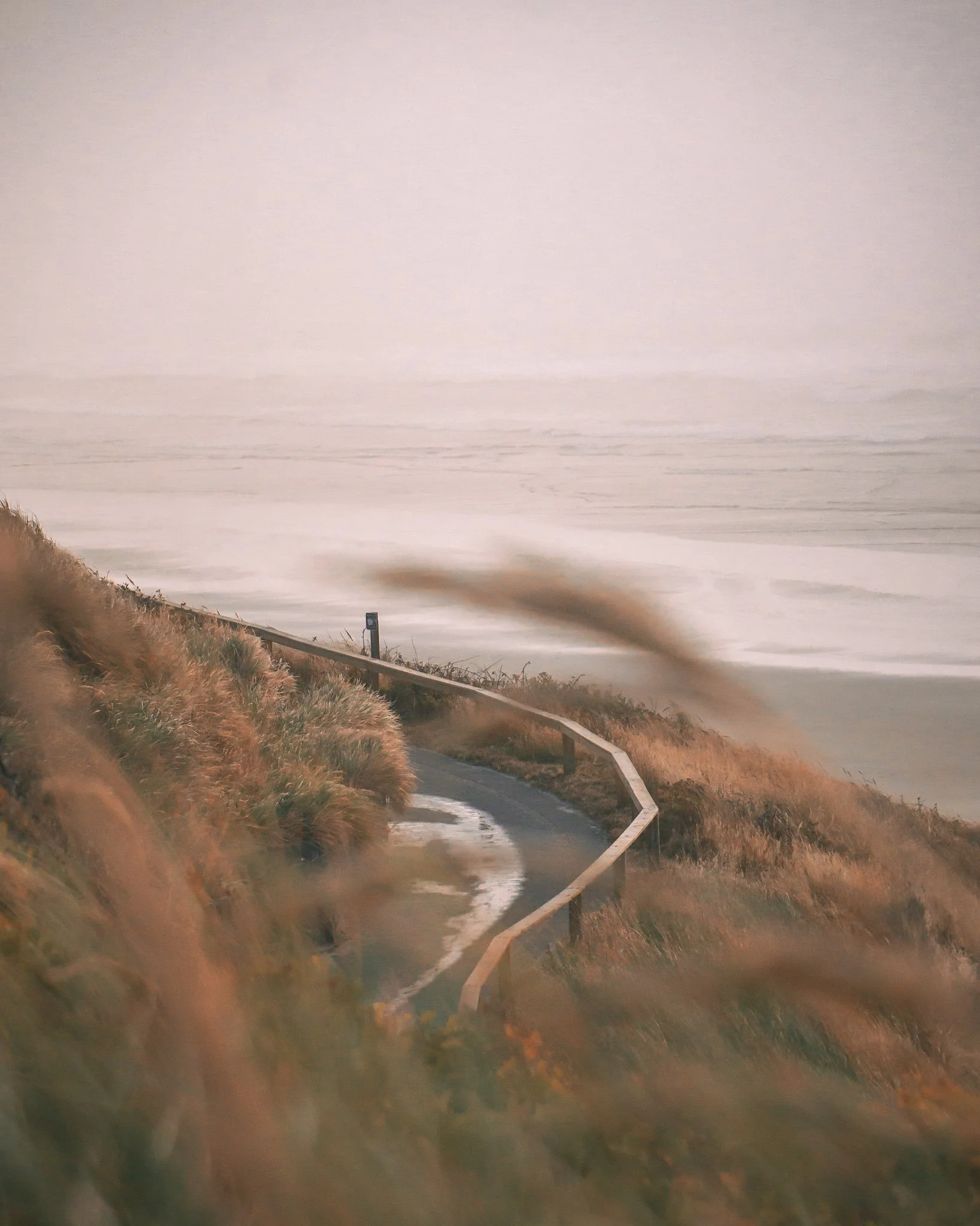 Pretty view of a path on the beach in Oregon with soft lighting and foliage