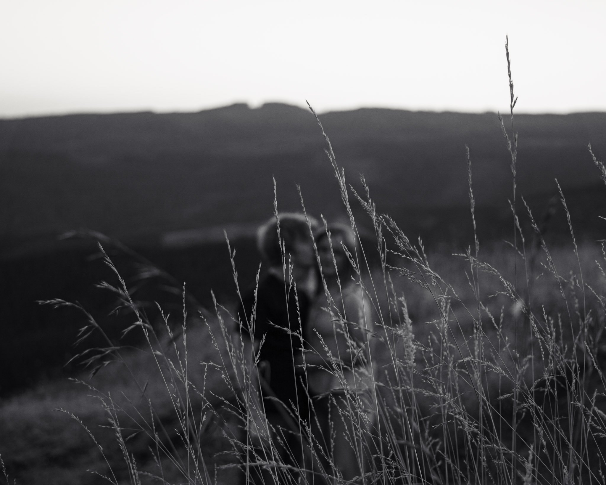 A couple kissing, hidden behind a few tall blades of grass
