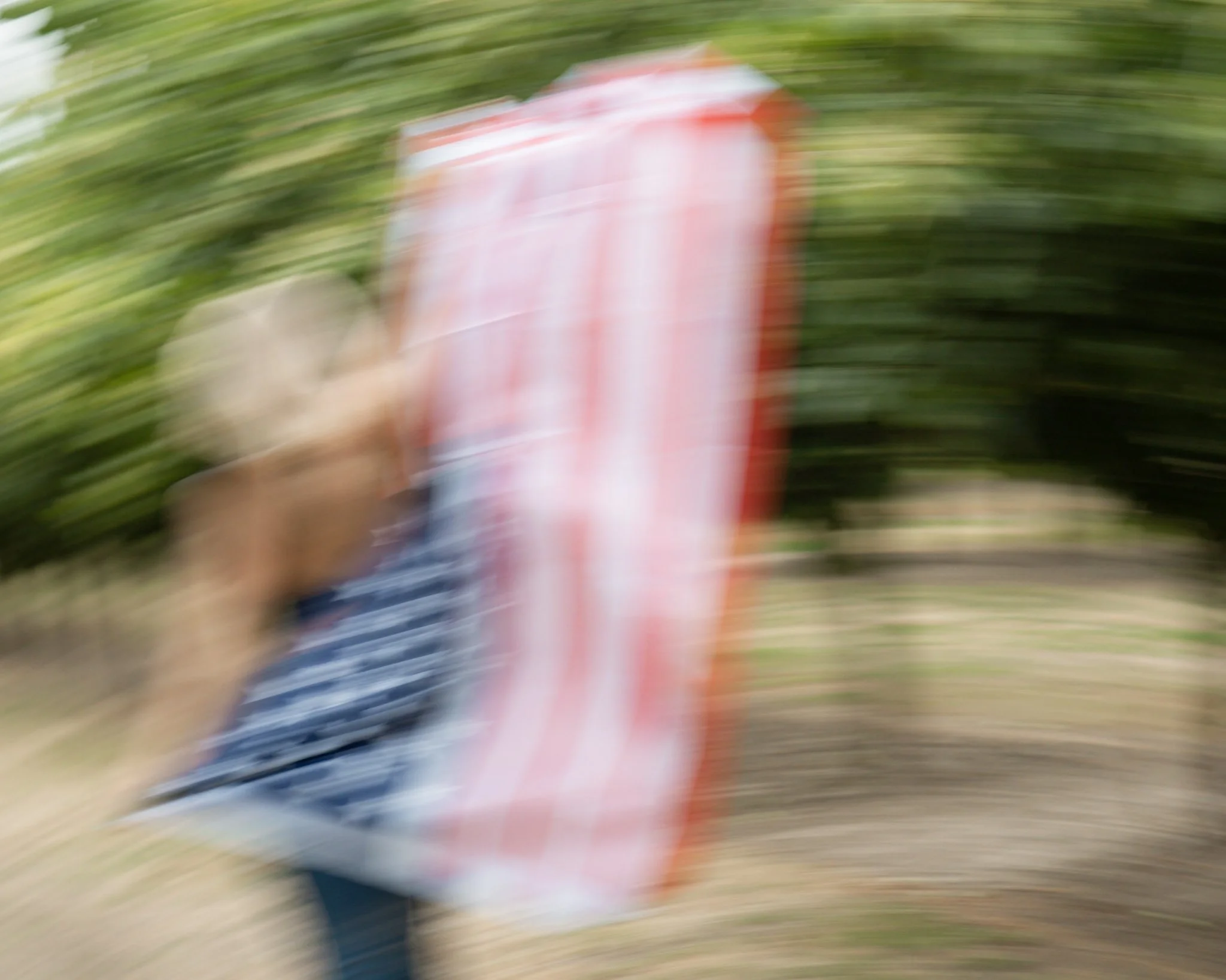 A person holding a large flag with red and white stripes, wearing a blue and white striped shirt, walking outdoors with greenery in the background.
