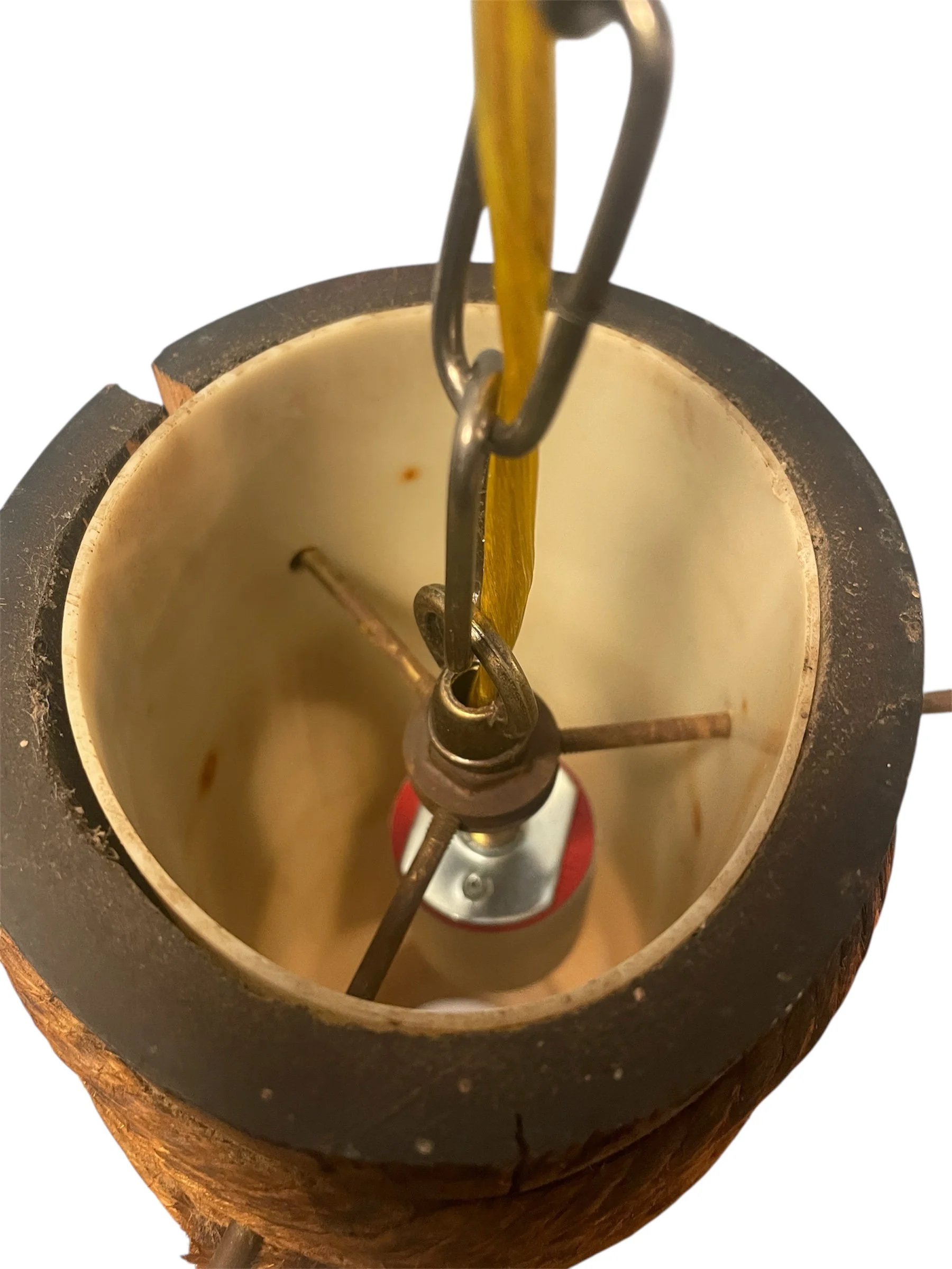 Photoroom_20251117_155232 3.JPG