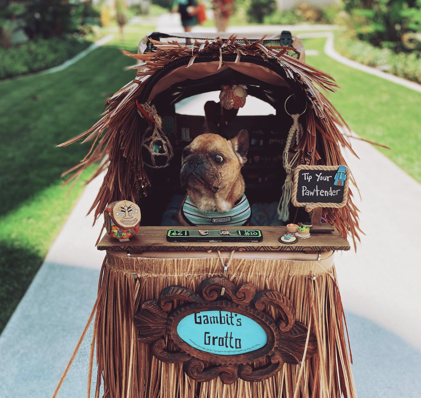 A small dog wearing a striped shirt sitting inside a decorated cart with a sign that says 'Gambi's Grotto' and a chalkboard sign saying 'Tip Your Pawtender'. The cart has a thatched roof and is elaborately decorated with tiki and tropical items, with a sidewalk and green lawn in the background.