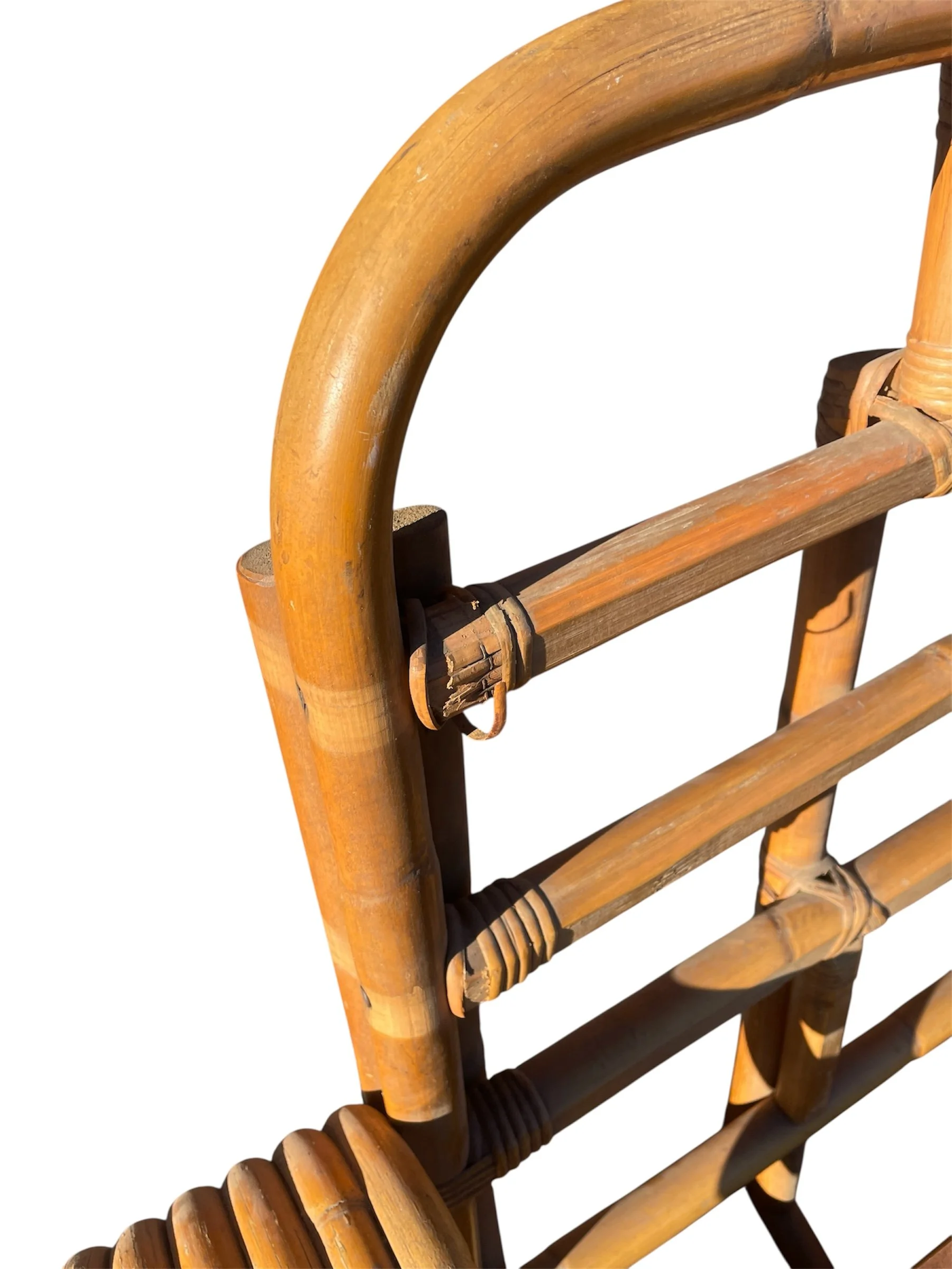 Photoroom_20260221_092919 2.JPG