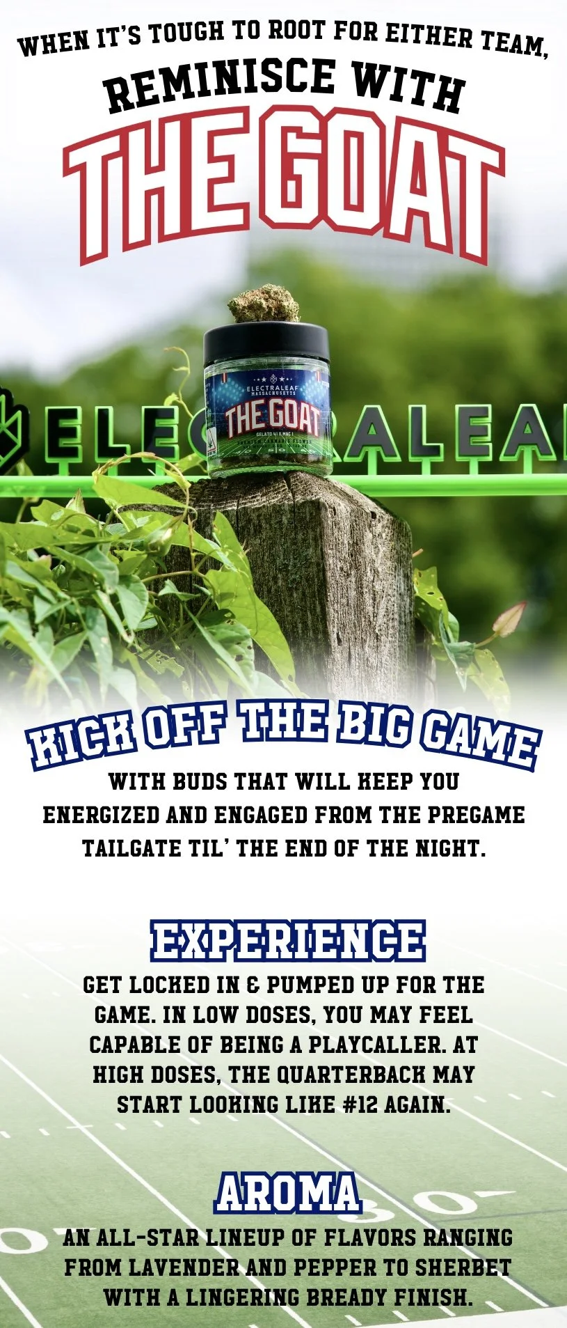 Long Promo Blasts (8.5 x 33 in) (56).jpg