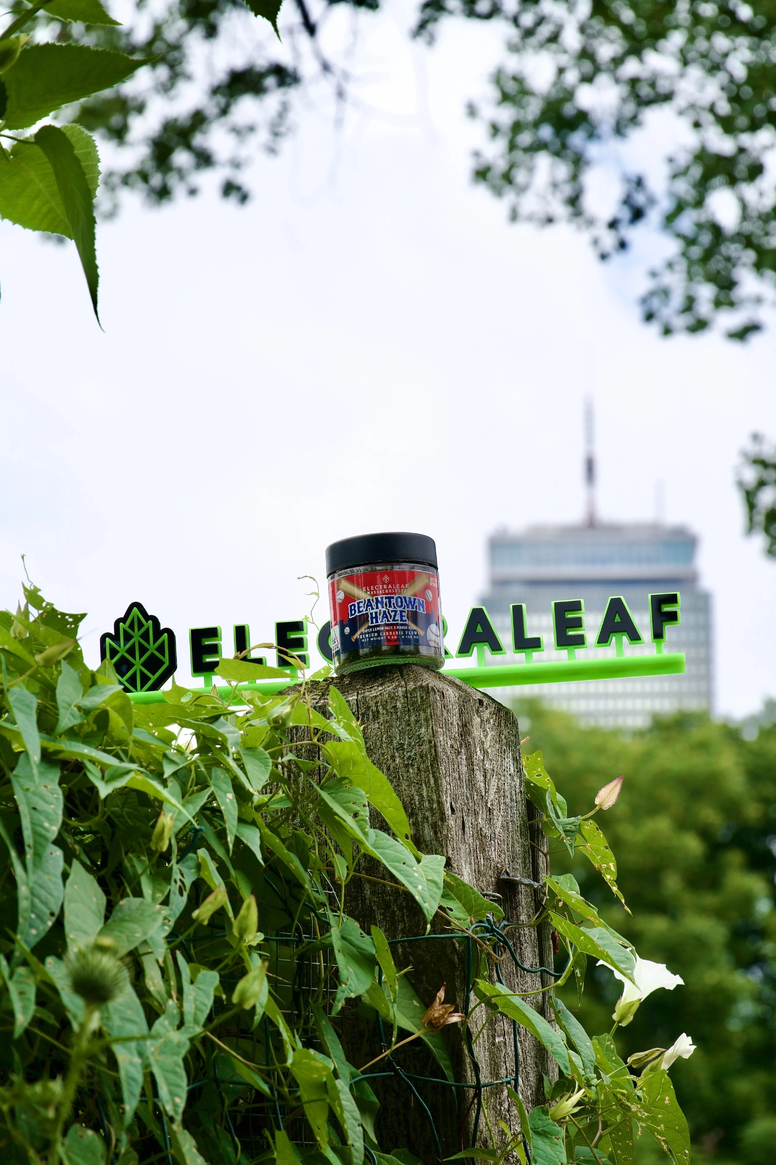 Beantown Haze Prudential.jpg