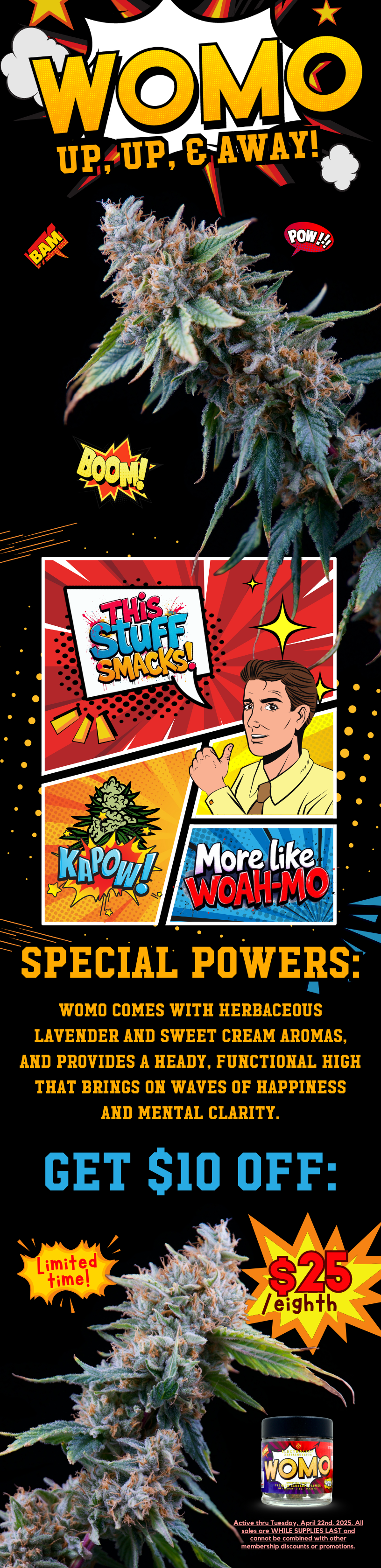 Womo Long Form Email.png
