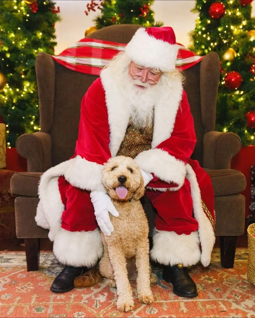 City-Creek-Center-Dog-Friendly-Santa-SLC-819x1024.jpg