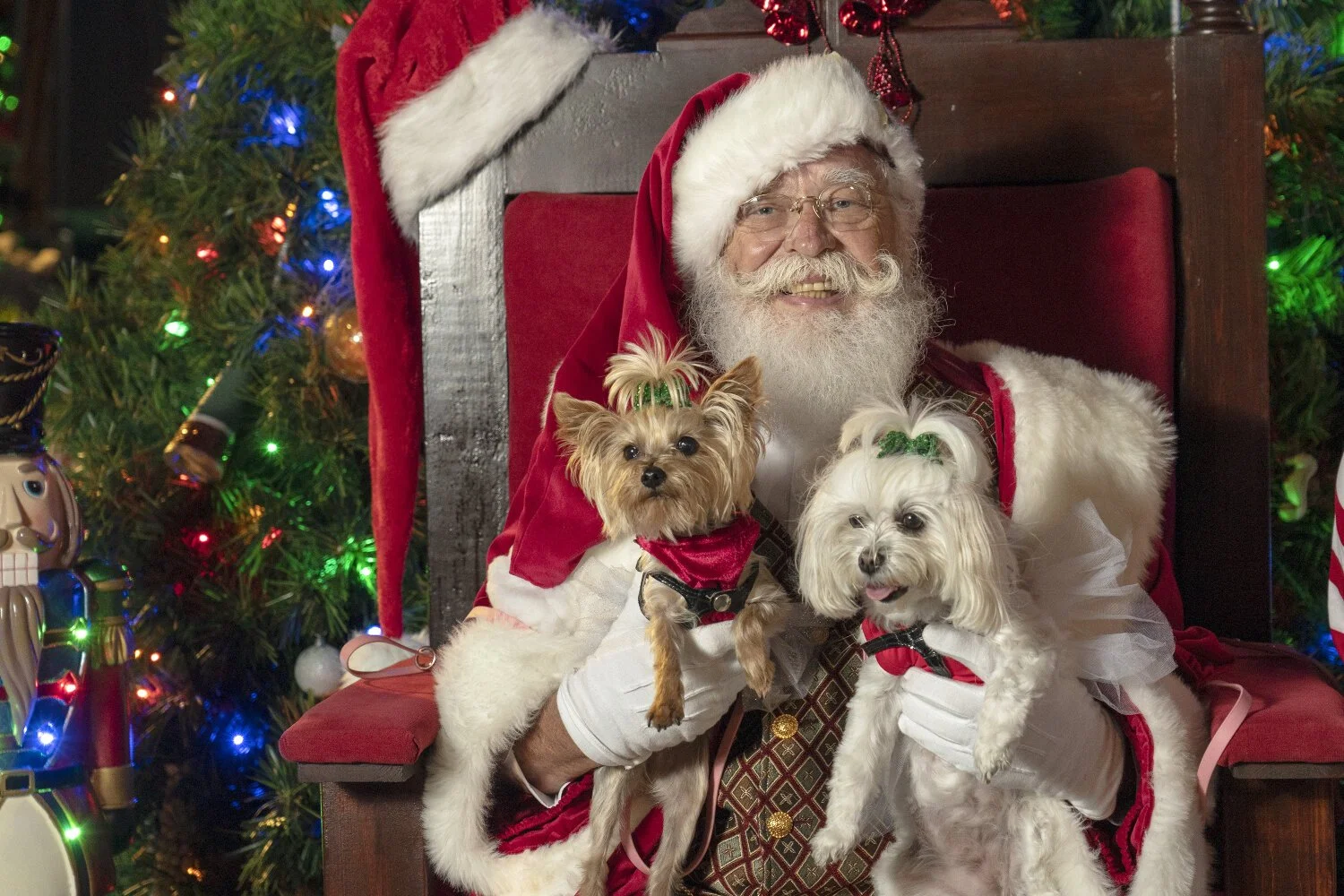 santa-pets-rob-oneal-2021-dsc08919-web.jpg