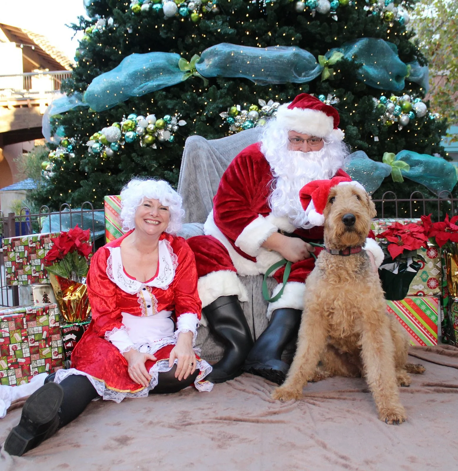 3840-santa-jealous.jpg
