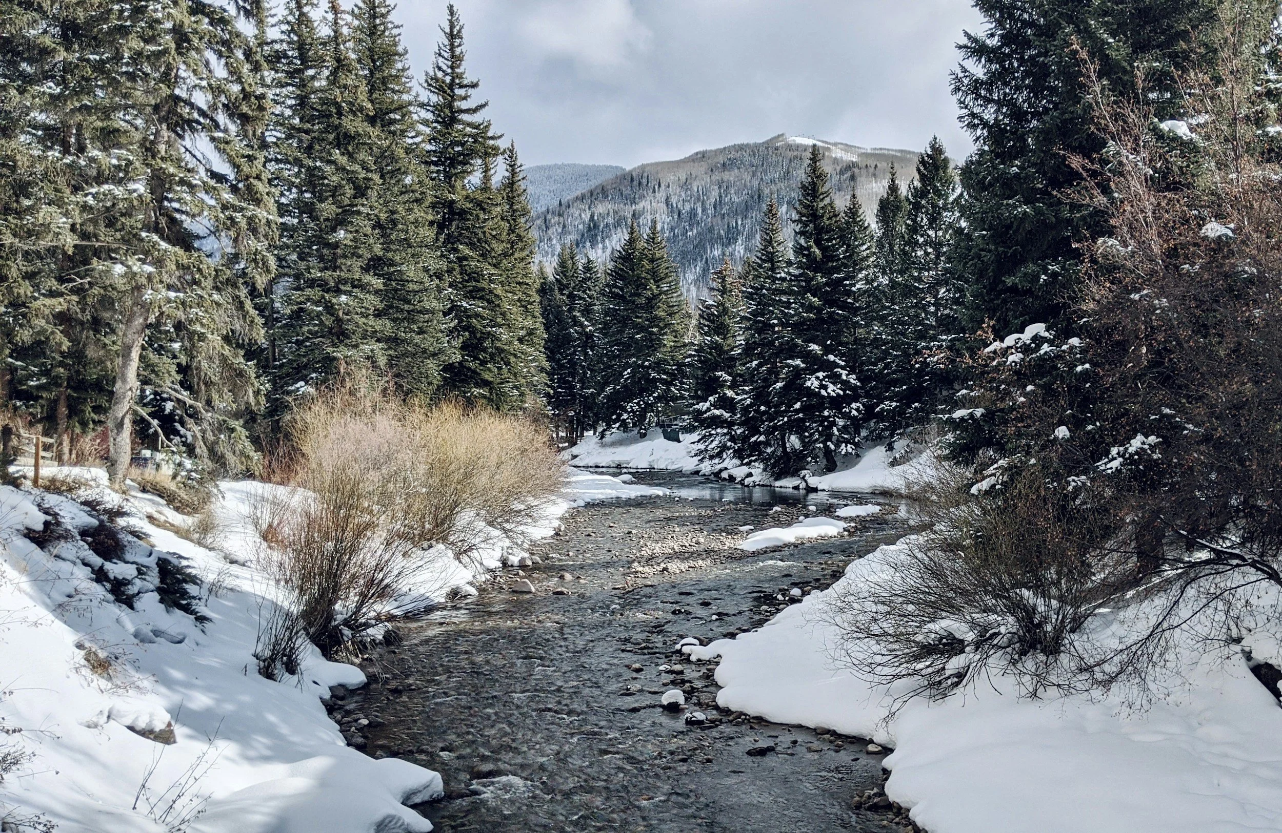 Snow-covered landscape with a small river flowing through dense pine trees and mountain in the background.