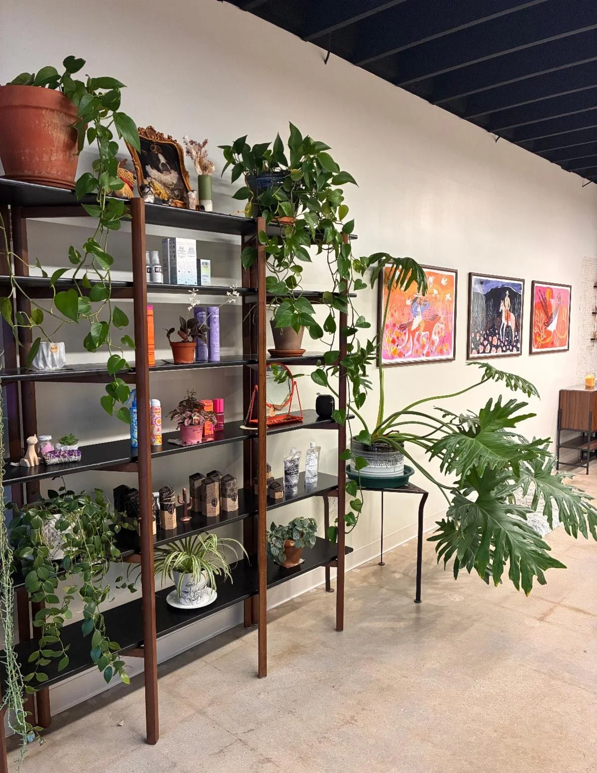 Black Orchid Studio 3.jpg