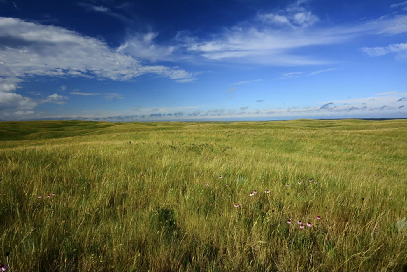 Sean Sherman—Minnesota (Mni Sota Makoce)