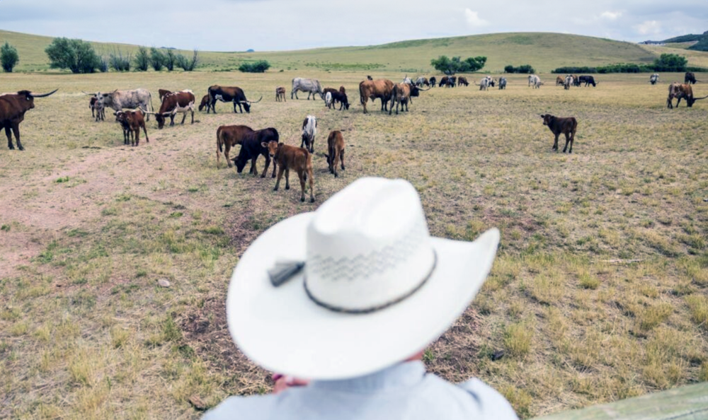 Three Californias—American Farmland Trust Food for Thought