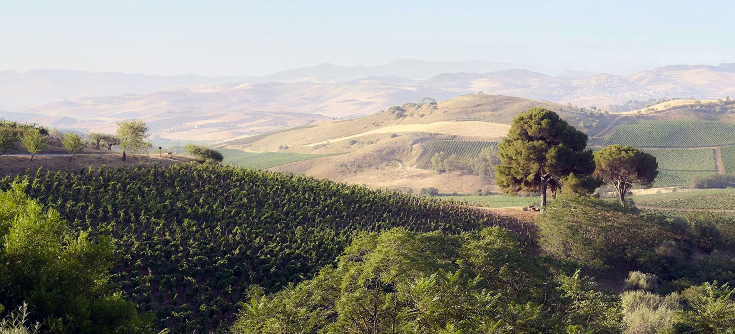 Anna Tasca Lanza Cooking School—Sicily
