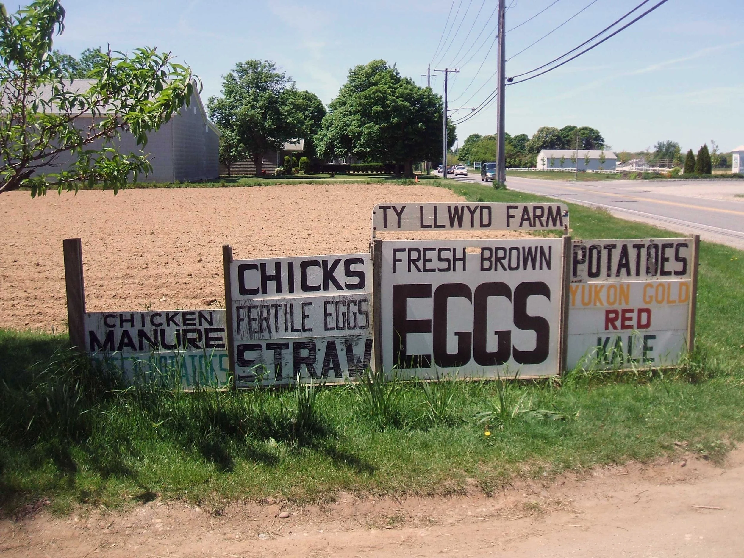 A Dairy of Distinction—North Fork of Long Island