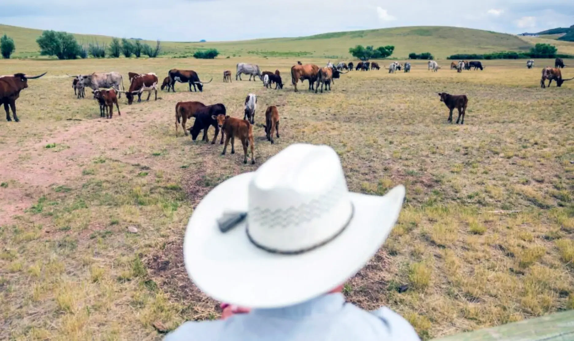 Three Californias—American Farmland Trust Food for Thought