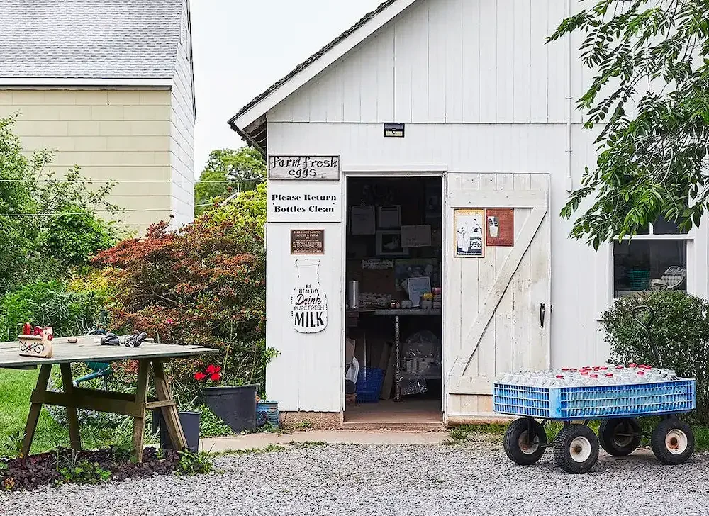 A Dairy of Distinction—North Fork of Long Island