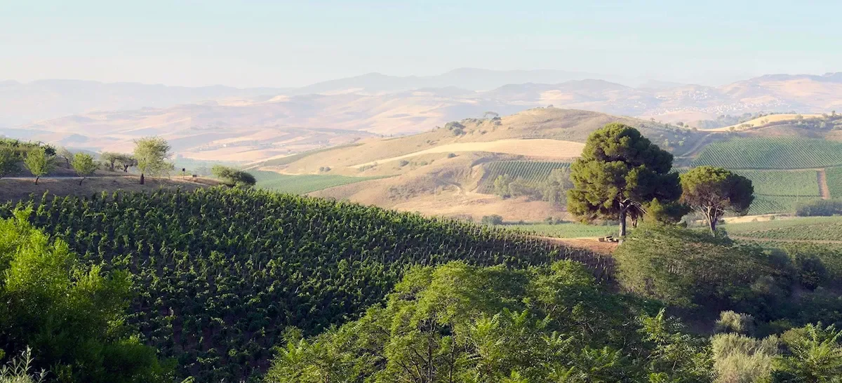 Anna Tasca Lanza Cooking School—Sicily
