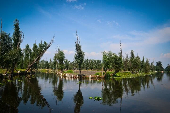 de Chinampas &amp; Baldío—Mexico City