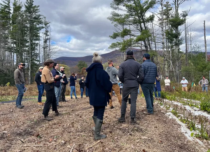 Feeding Earth with Flame—Hudson Valley