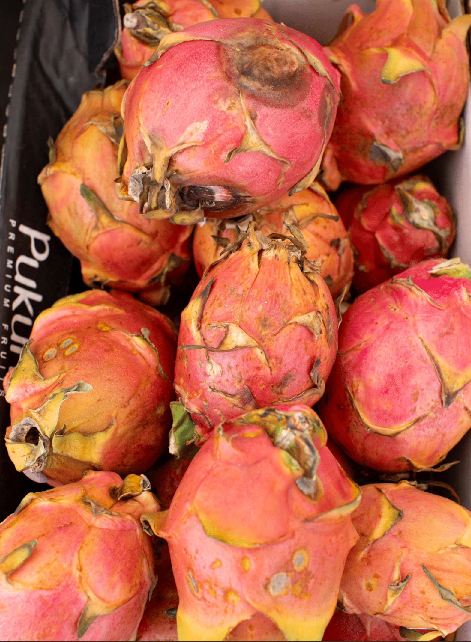 Close-up of several ripe dragon fruits with pink skin, some with greenish-yellow patches, and dried leaves attached, stacked together.